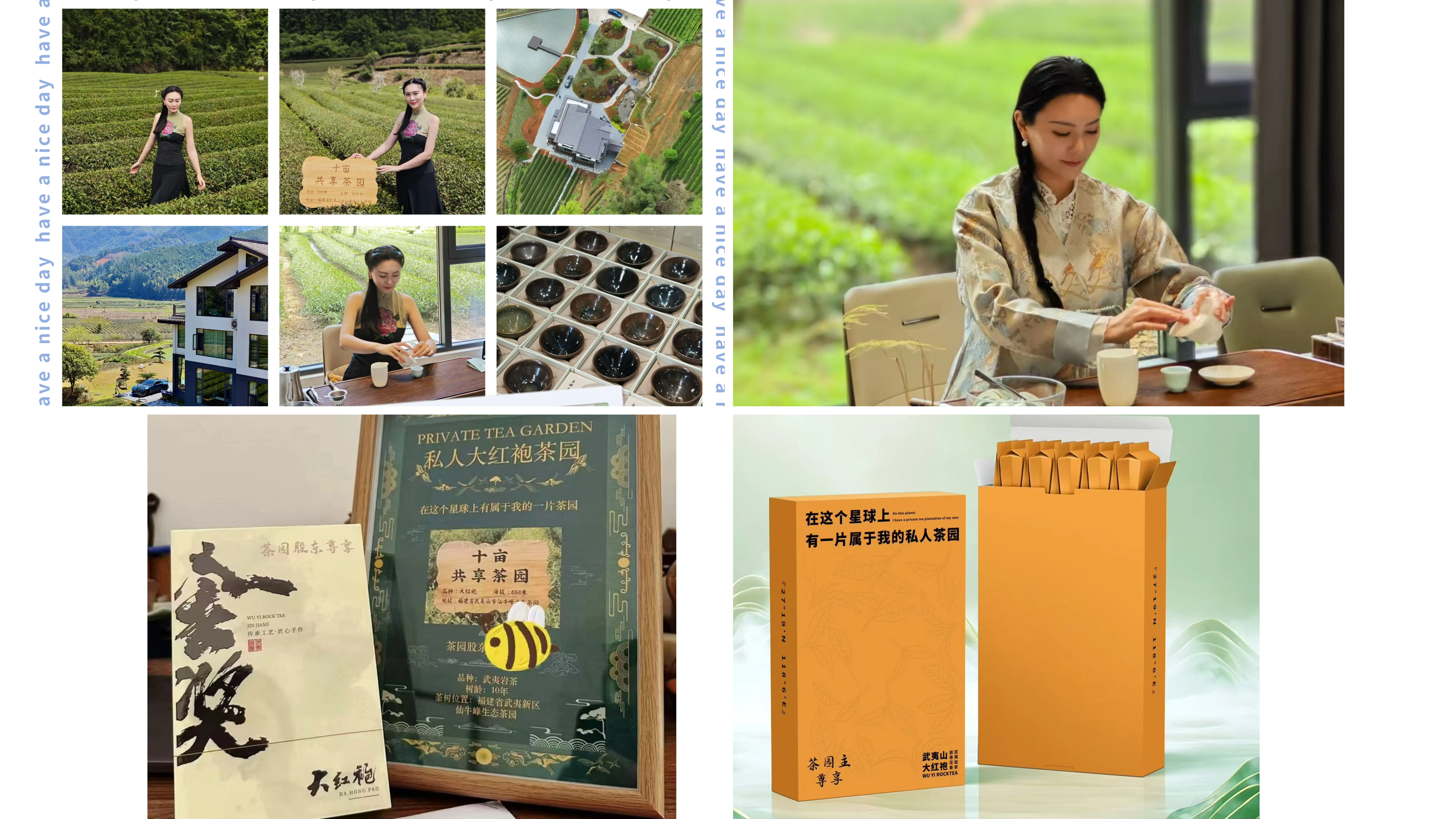 Adopt One Acre Tea Plantation Case Study